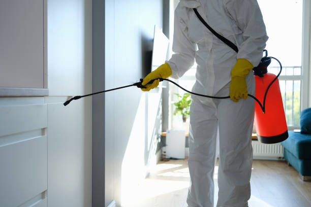 Best Attic Mold Removal  in Kingstree, SC